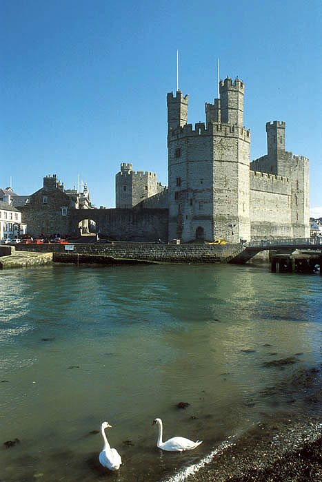 Caernarfon: harbour and castle