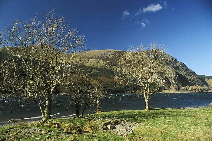 Llyn (Lake) Cwellyn, Snowdonia, on a gusty day