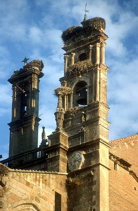 Plasencia, Extremadura. Church tower with storks' nests