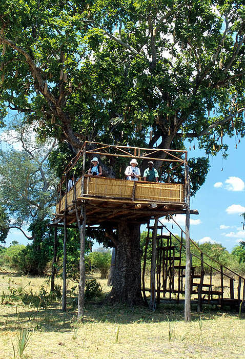 Game-viewing hide, Liwonde National Park