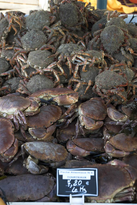 Crabs for sale at a weekly market in Normandy