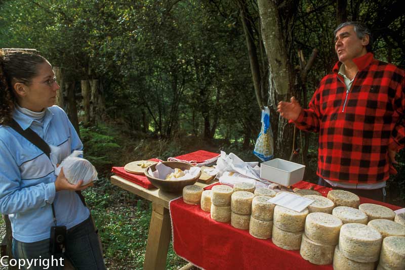 Selling Gamonedo cheese by the roadside in Asturias