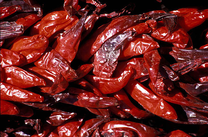 Chile (chili) peppers