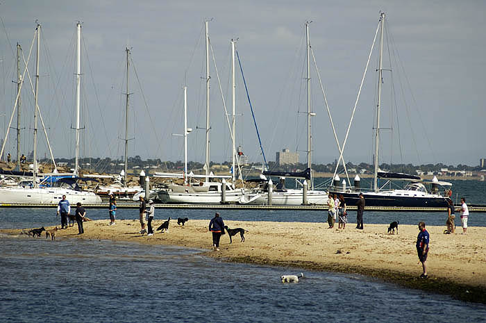 Dog walkers' beach, Brighton