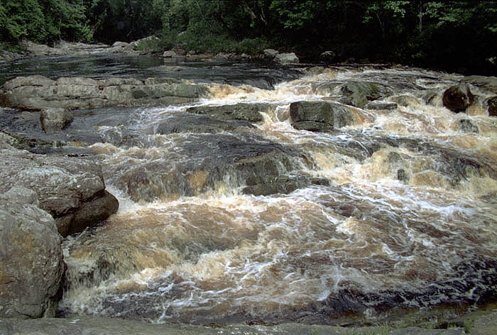 Rapids at Lata Berkoh on the Tahan