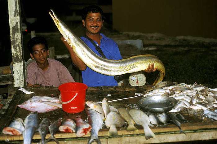Fishmonger in Malacca