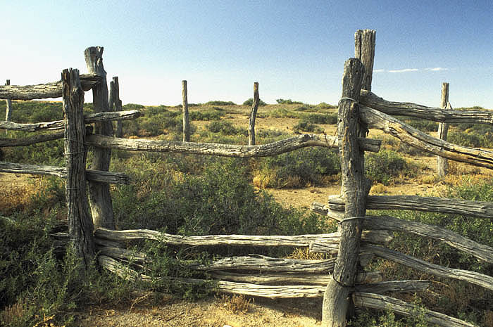 Ruined stockyard (cattleyard) at Dalhousie Springs at the western edge of the Desert