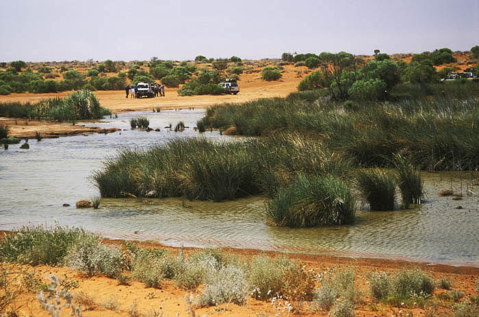 Purnie Bore, the last surface water on the western edge of the Simpson