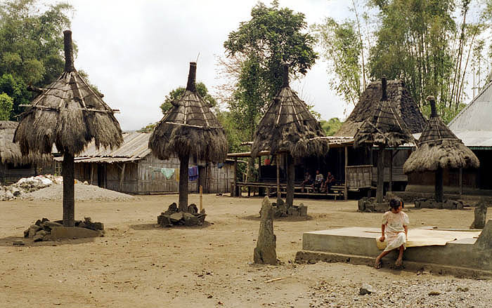 Ngadhu shrines near Bajawa, Flores