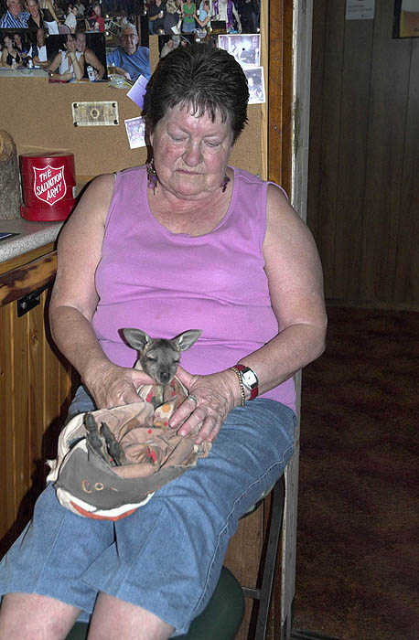 Orphan Joey at Clancy's Hotel, Isisford