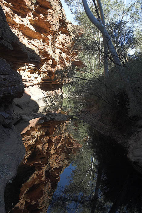 Kings Canyon: Garden of Eden waterhole