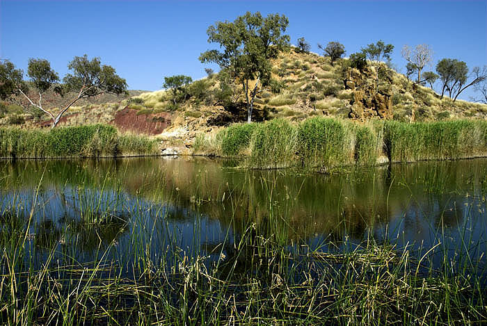 Finke Two Mile waterhole near Glen Helen