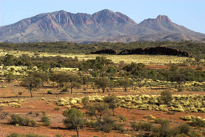 Mount Sonder, West MacDonnells - early morning