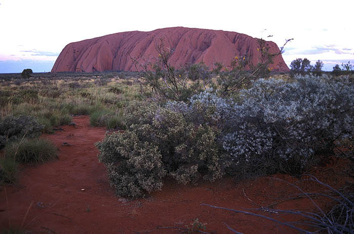 Dusk at Uluru (Ayers Rock), Australia