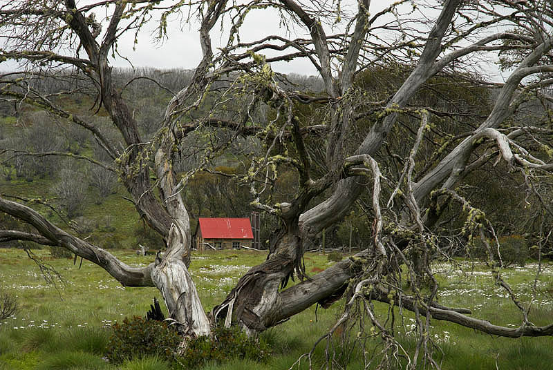 Fitzgeralds Hut, rebuilt in recent years after a fire