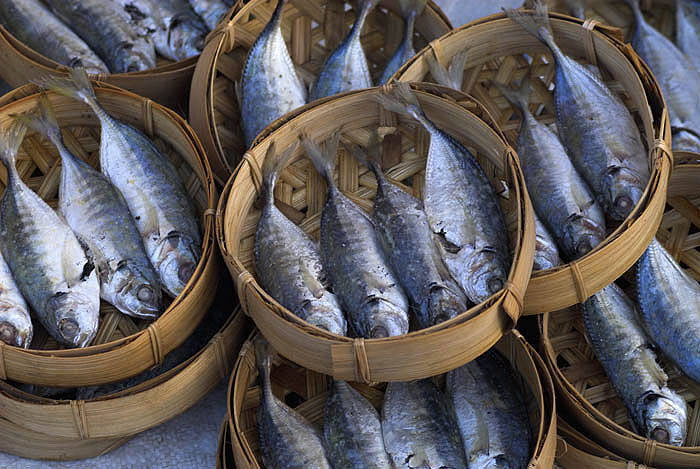 Wicker baskets of fish