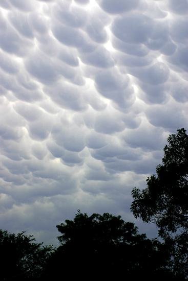 Mammatus Clouds