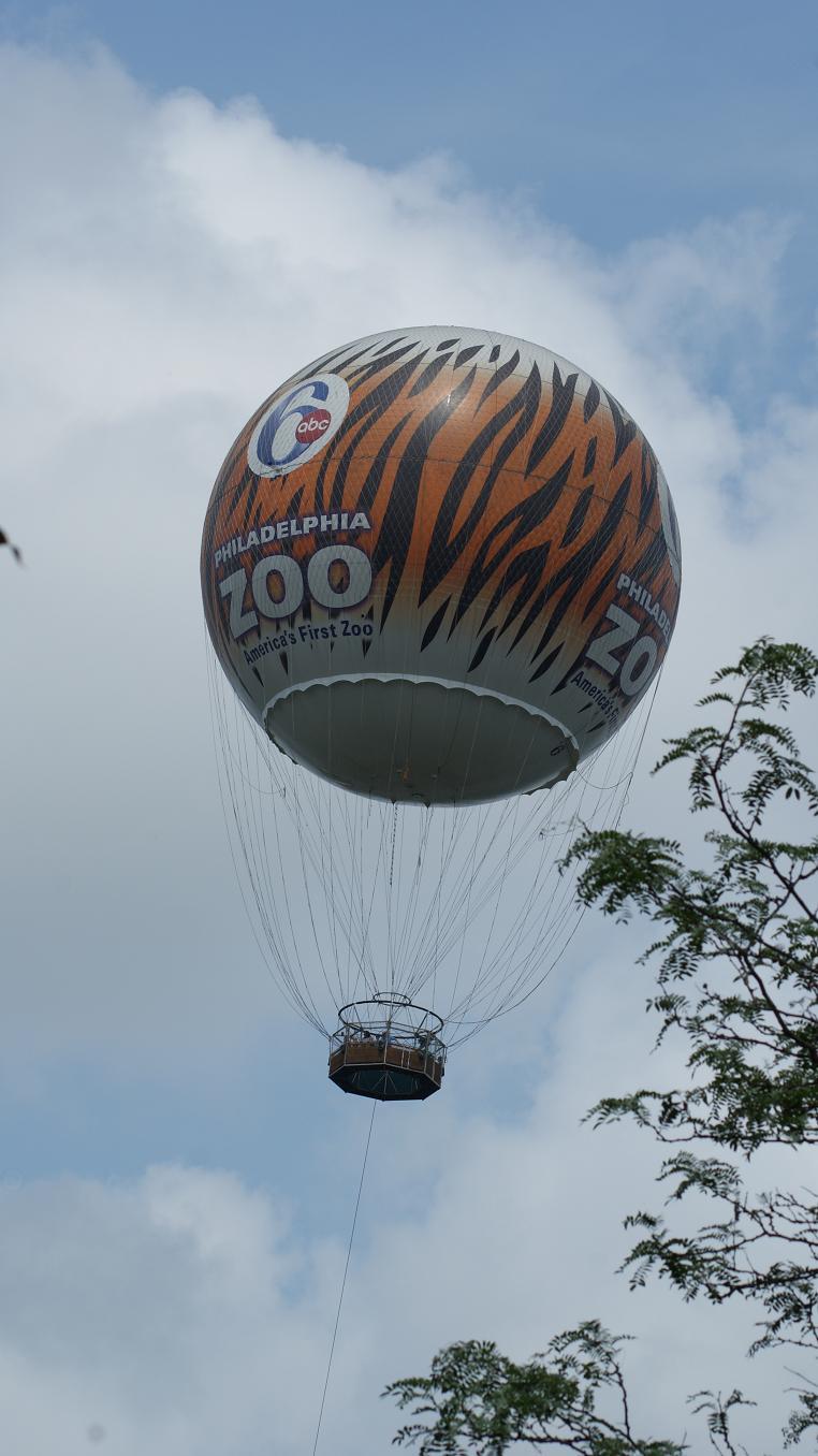 Channel 6 Philly -Zoo balloon