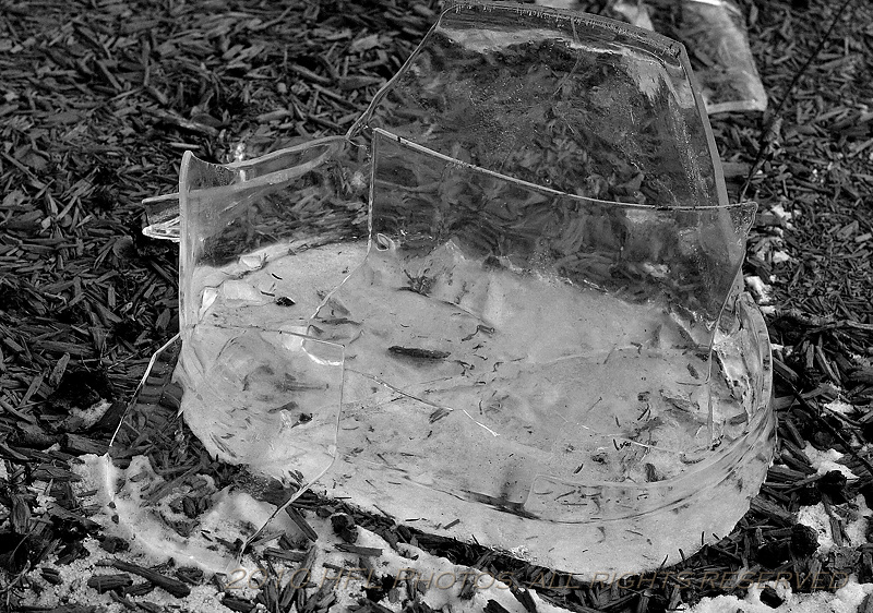 DAY 4 - THE PAIL, SHATTERED BUT REMEMBERED IN ICE