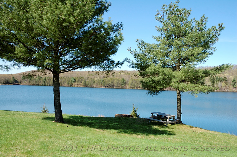 D50 - Beautiful Picnic Spot