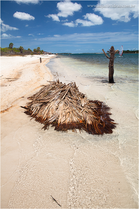 JERICOACOARA-82.JPG