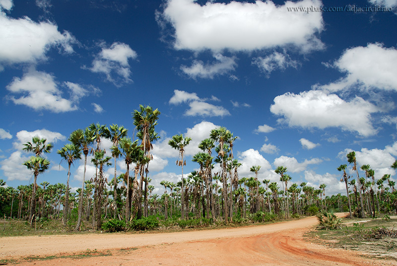 Estrada e Carnabas