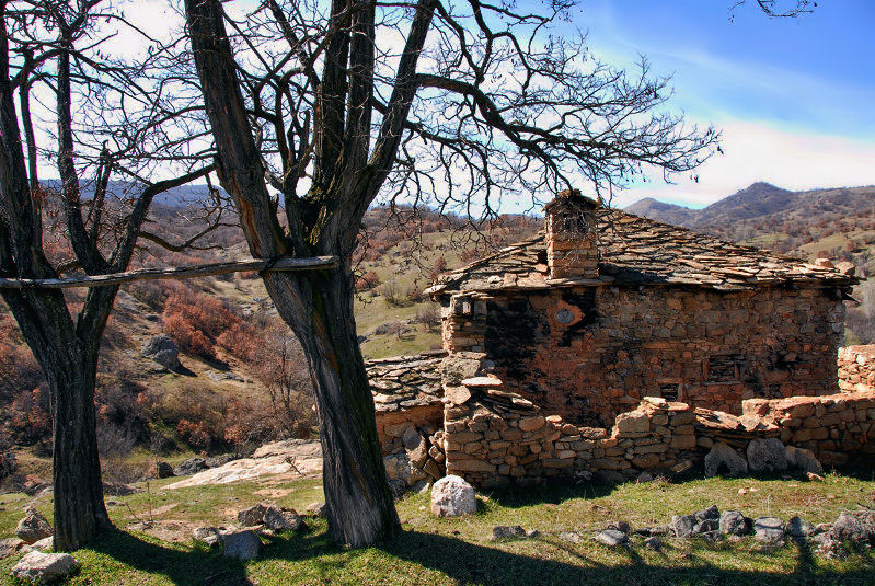 When people leave, houses suffer with loneliness....