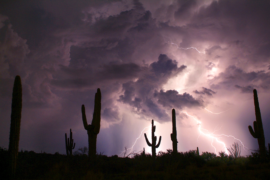 AZ - Saguaro Lightning