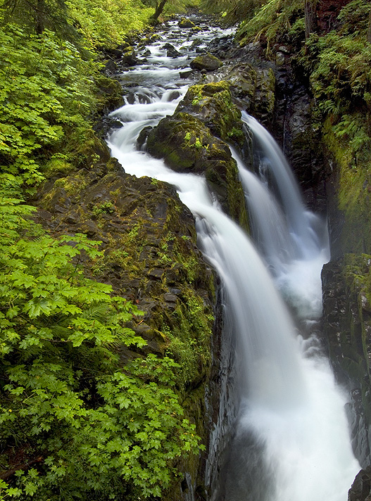 Olympic NP - Sol Duc Falls