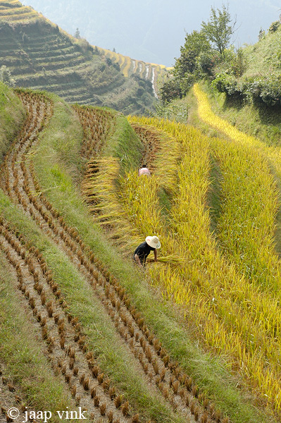 Longji