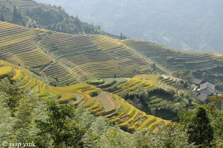 Longji