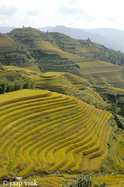 Longji