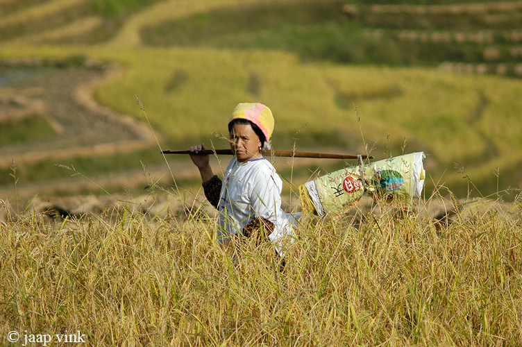 Longji