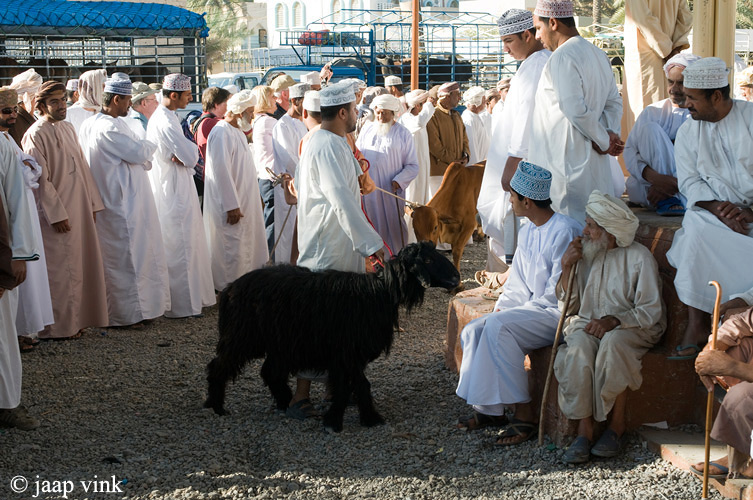 Friday Livestock Souq