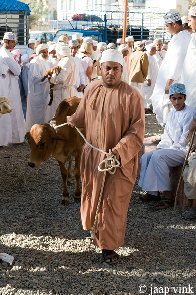 Friday Livestock Souq