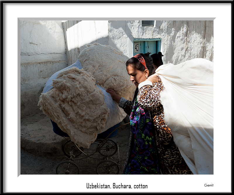 Uzbekistan, Buchara, cotton-1982.jpg