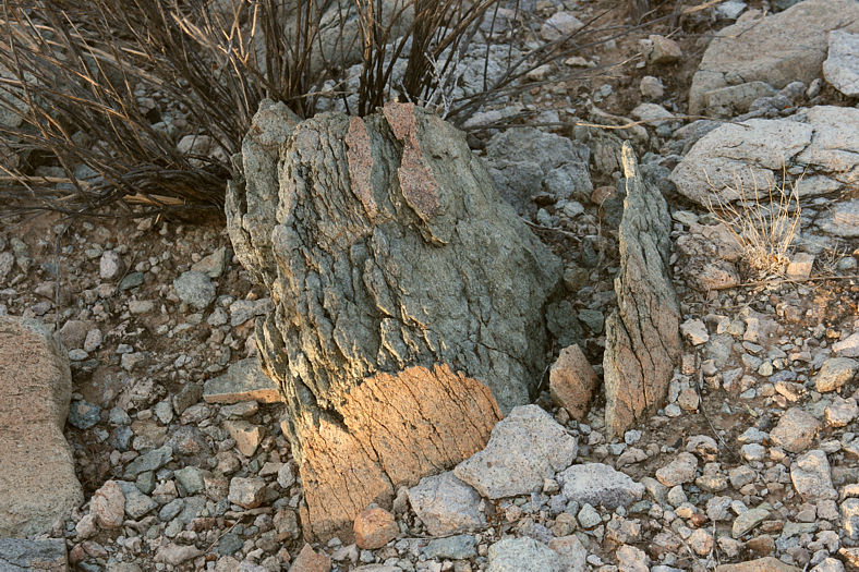 A nice green rock, vertically fractured.