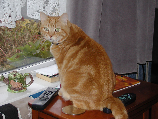20021024-113752.jpg