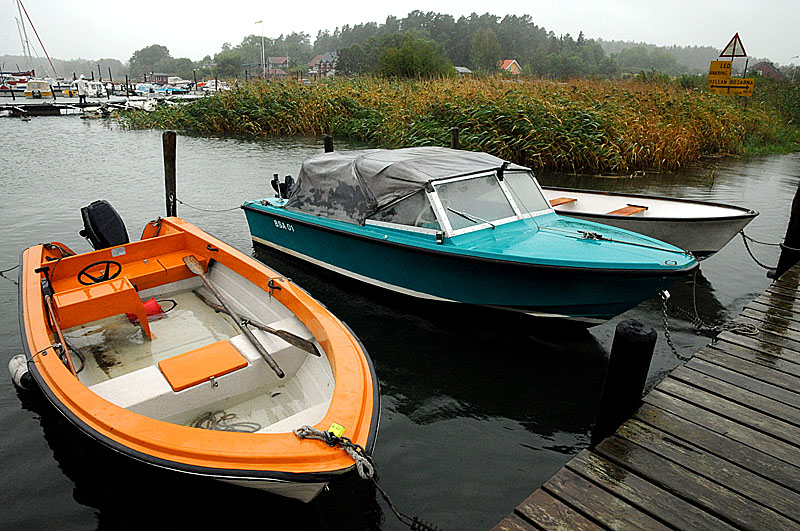 Btar i regn