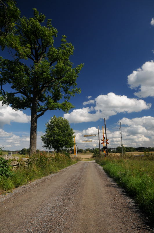 Landsvgen