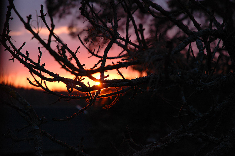 Solnedgng Resar 080416