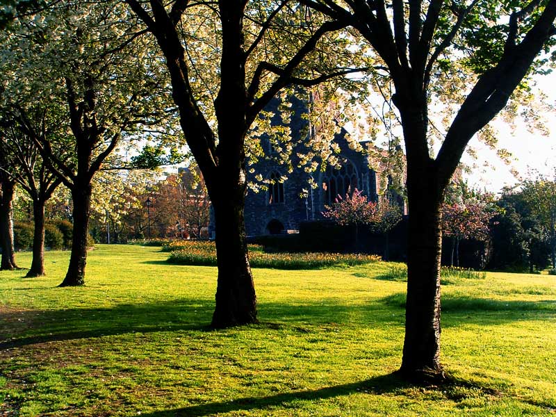 Castle Park in the Spring
