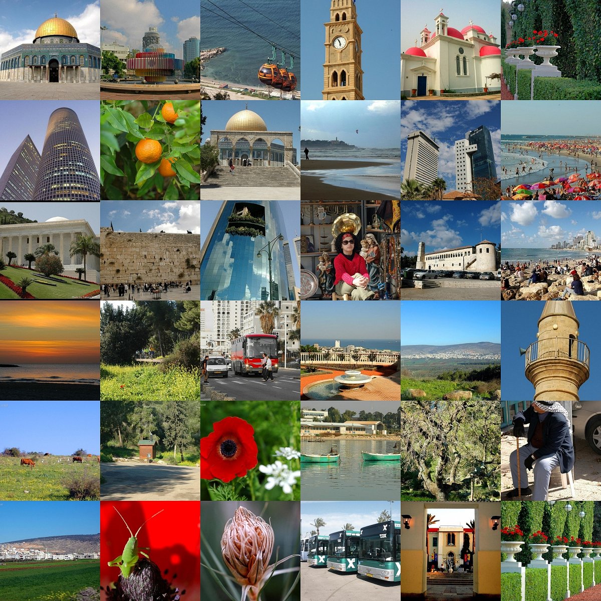 ISRAEL Collage.jpg