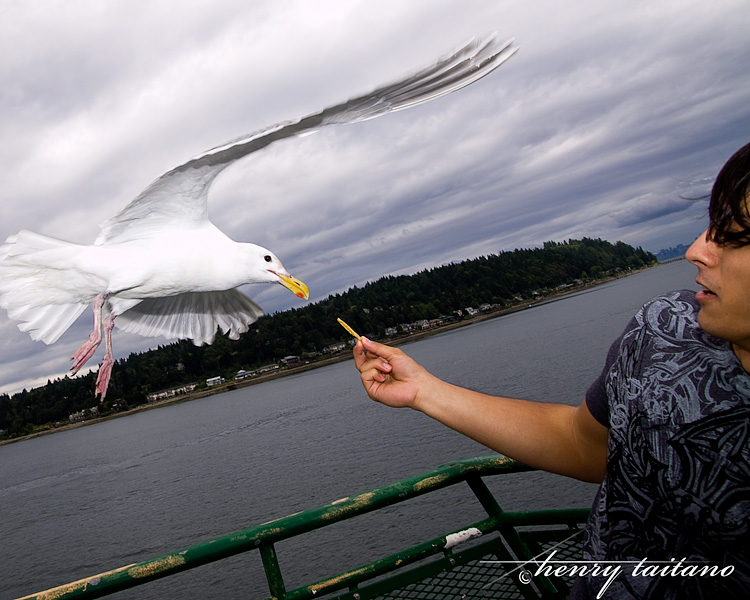 IMG_7713-2.jpg