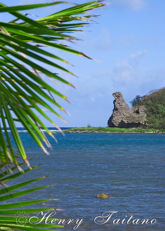 Bear Rock