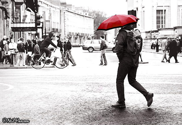 Rain
