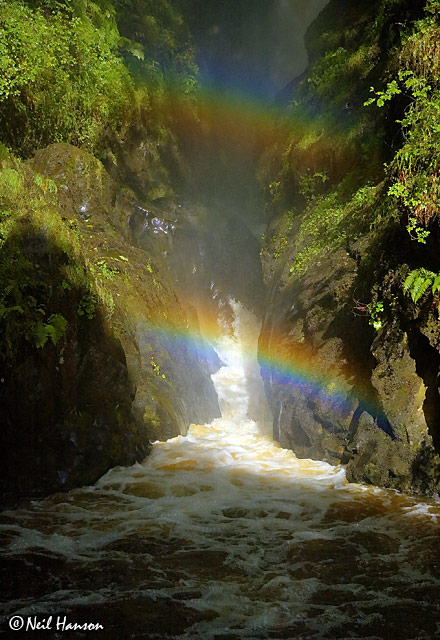 Double Rainbow