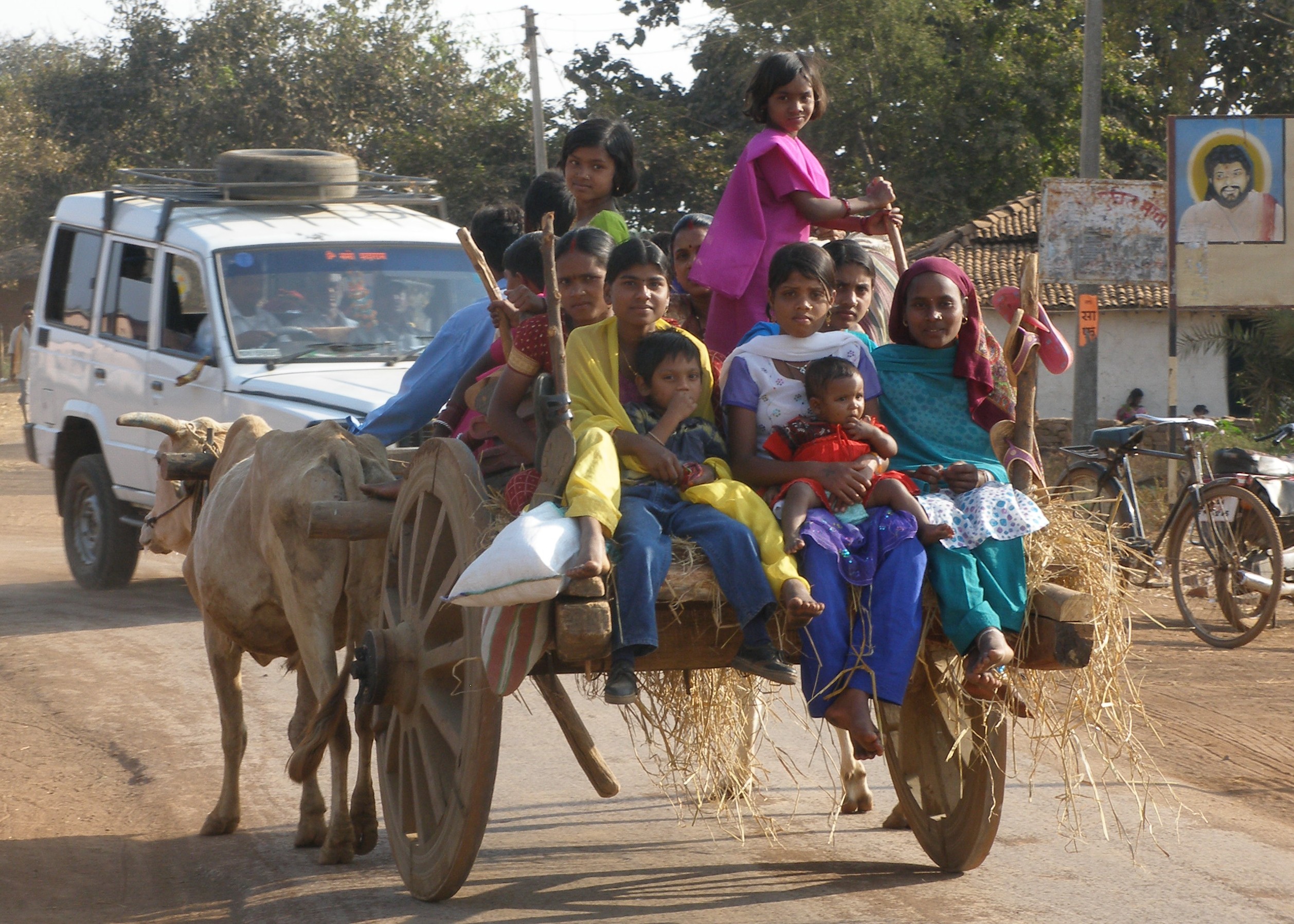 Bullock cart, rear view