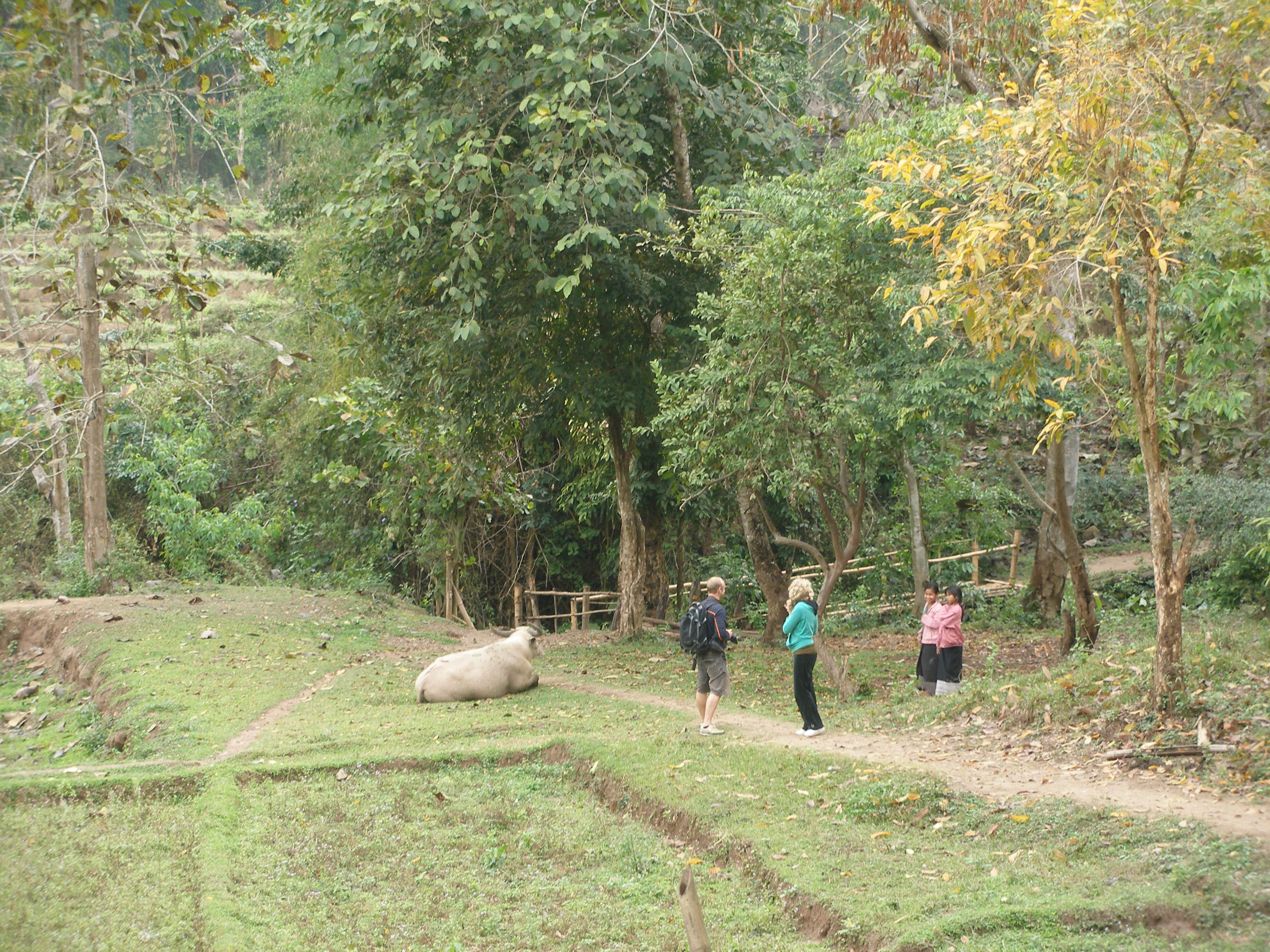 Visitors off to tour Ban Nyoi Hai (a Khamu village)