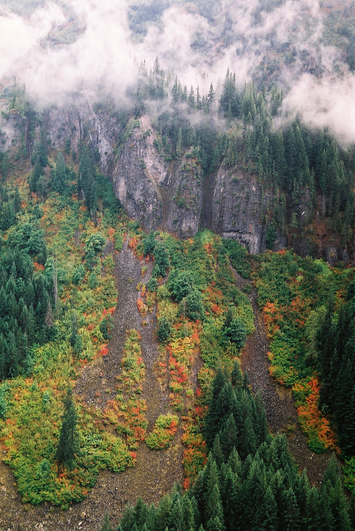 Mount Rainier National Park